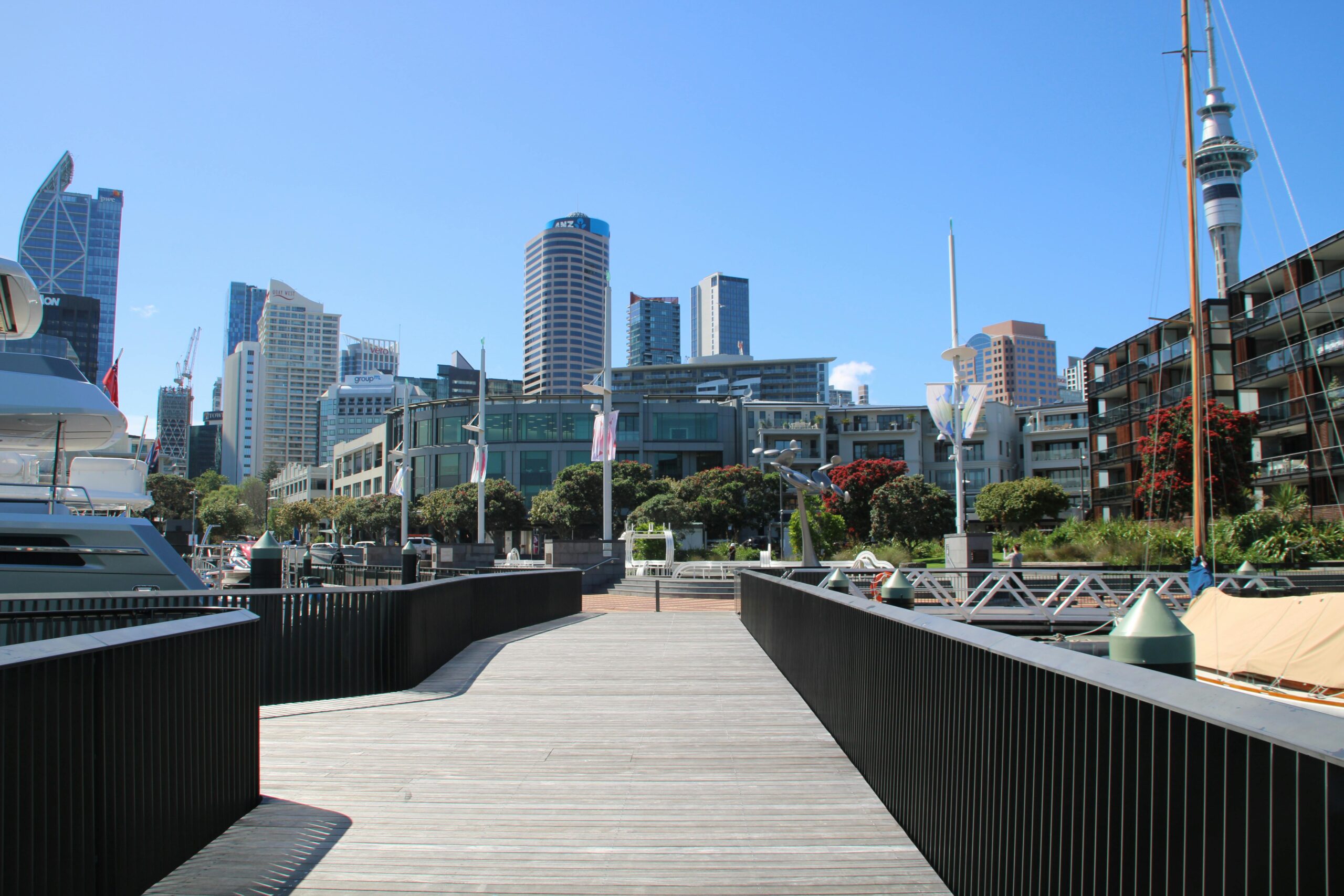 Auckland skyline representing local SEO vs authority SEO strategies in New Zealand